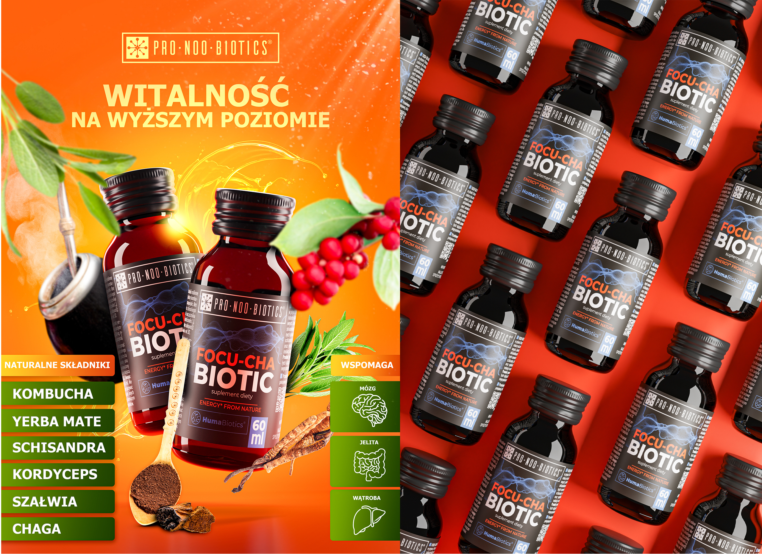 Pro Noo Biotics